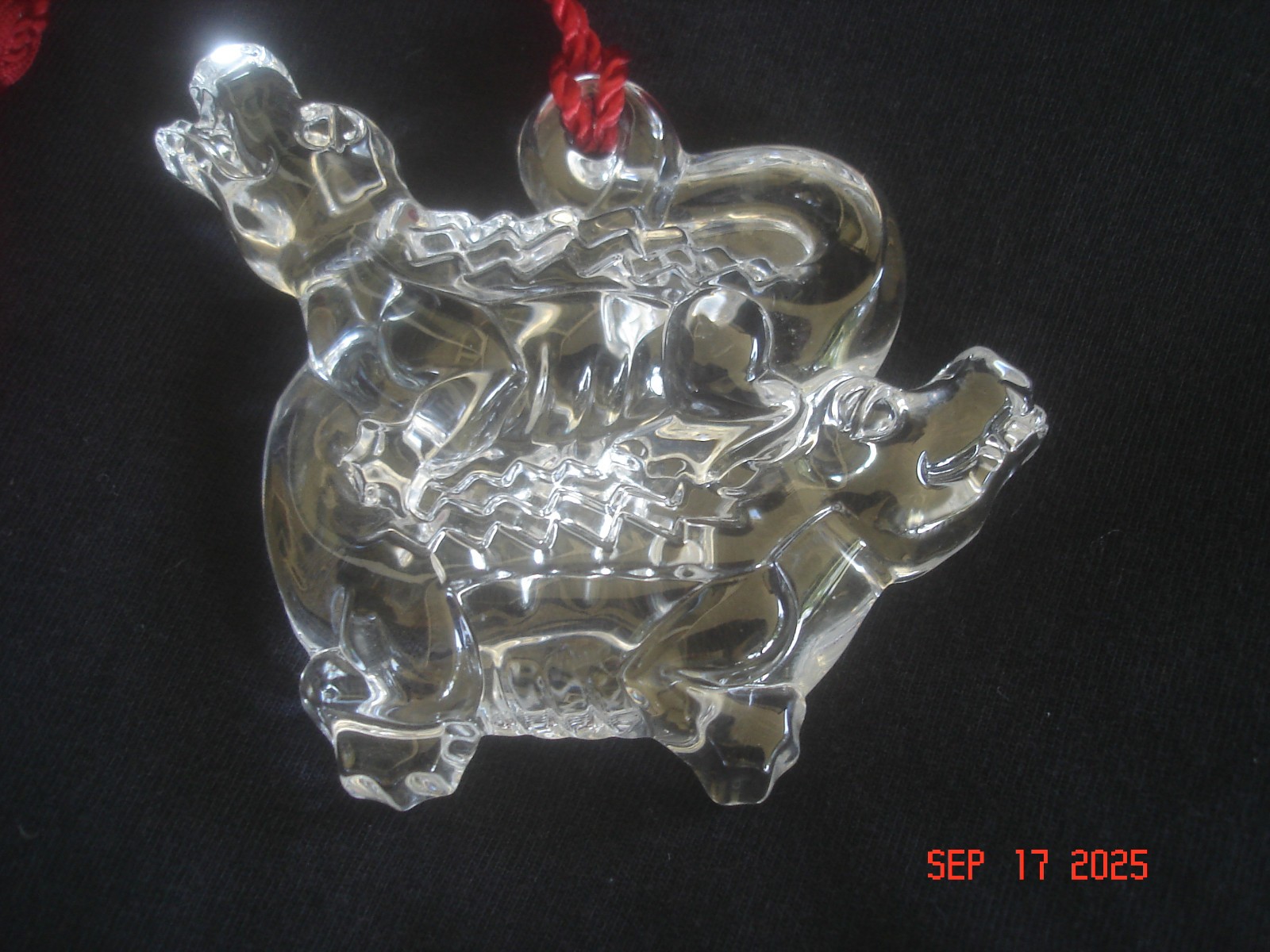 Picture 3 of 6