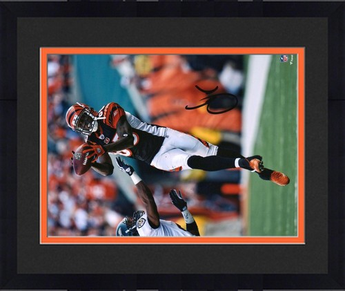Camiseta deportiva negra firmada por Chad Johnson de los Cincinnati Bengals de 8"x10" de FRMD hacer foto - Imagen 1 de 1