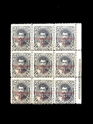 HAWAII: POSTFRISCH #62 BLOCK/9 NH OG, MIT AUFDRUCK CV 360 $+