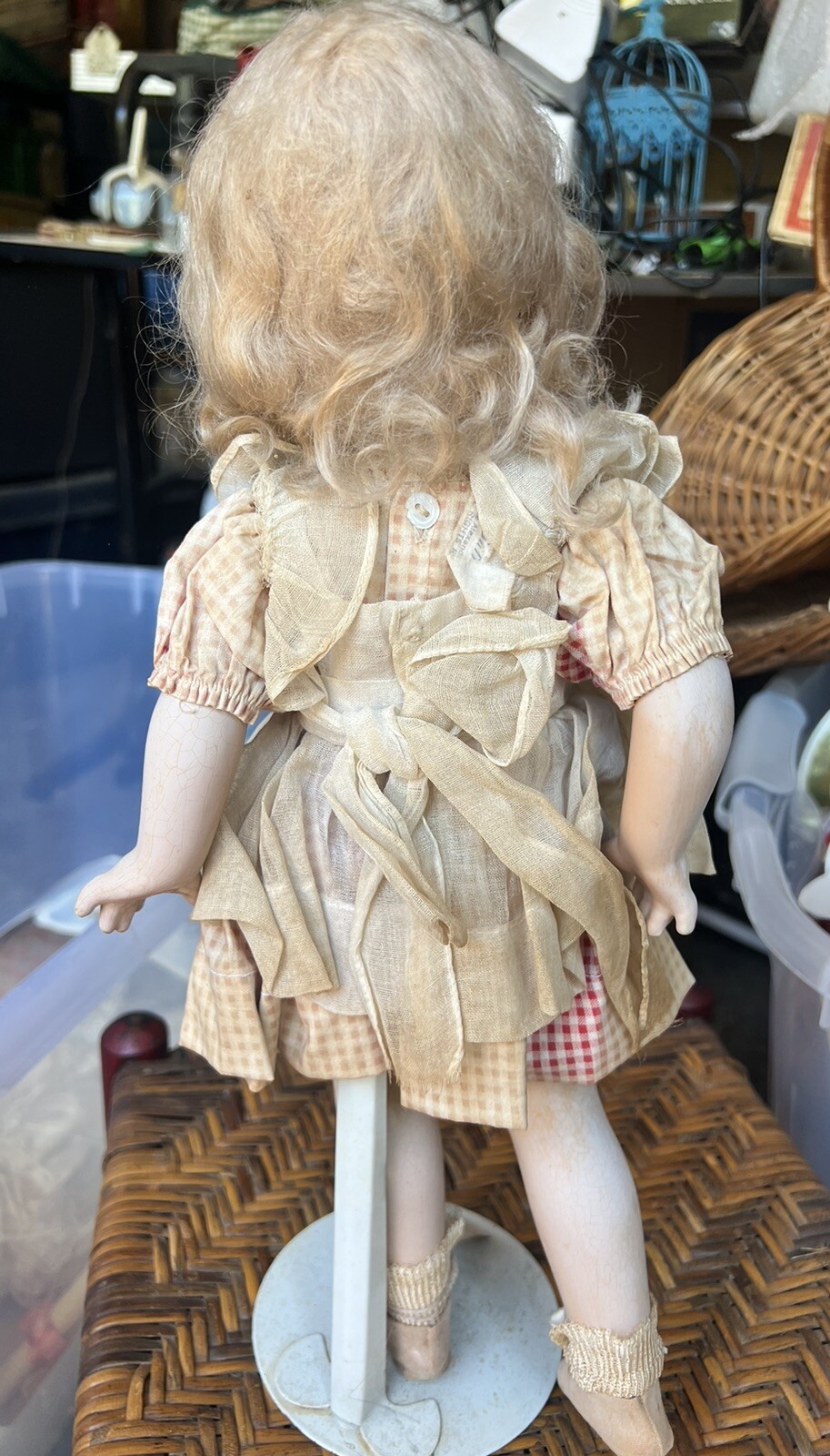 Foto 4 di 6
