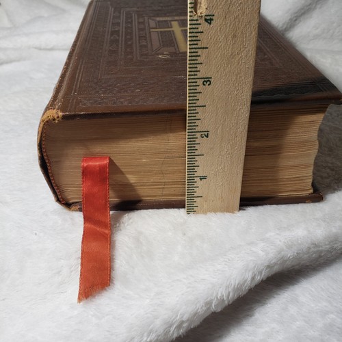 John J Crawley Catholic Family Edition Holy Bible 1953 - Picture 15 of 15