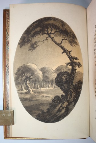 1791 Remarks on Forest Scenery New Forest Hamphire 2 Vols 32 Illustrations Map - Bild 8 von 24