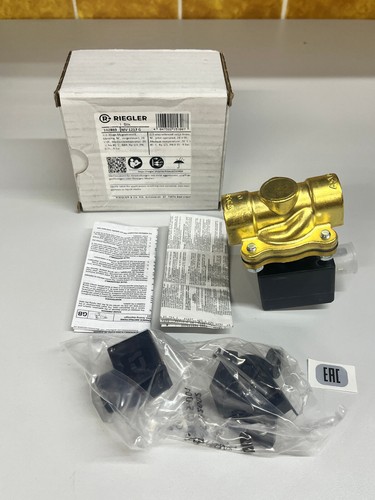 RIEGLER Magnetventil 2/2 NC vorgesteuert 102869 MV1217G NEU - 第 1/6 張圖片