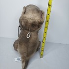 Foto 4 di 5