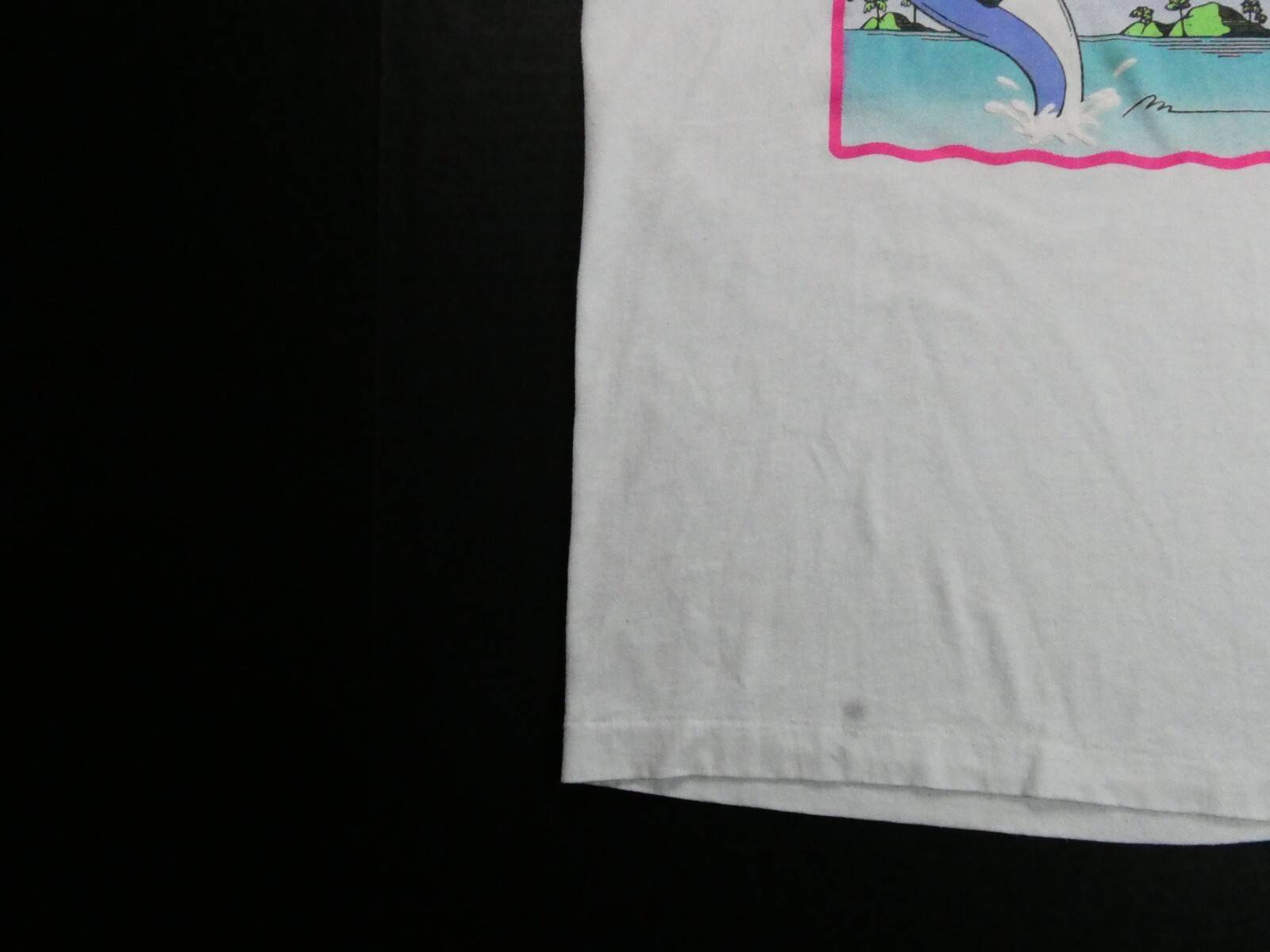 Picture 2 of 15