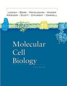 Molecular Cell Biology 9th Edition | eBay