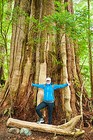 cedar_and_gold