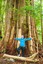 cedar_and_gold