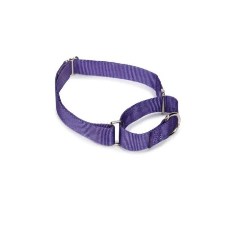 Bulk Wholesale Nylon Martingale Collars Shelter Rescue Vet Makes Great Donations - Picture 112 of 116