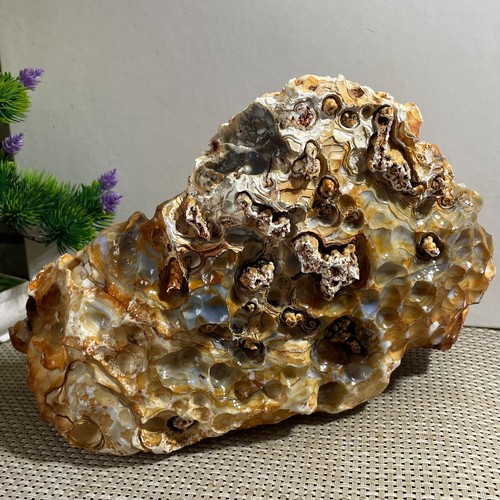 natural Bonsai Suiseki-Natural Gobi Agate Eyes Stone-Rare Stunning Viewing 5810g - Picture 3 of 18
