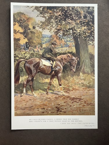 Sporting Verse by Adam Lindsey Gordon, Illust by Lionel Edwards.1st Edit - 1927 - Picture 12 of 13