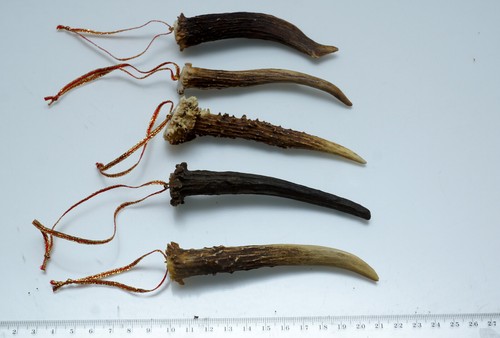  Bellissimo addobbo natalizio per albero composto da 5 bastoncini di corna vere - Foto 1 di 2