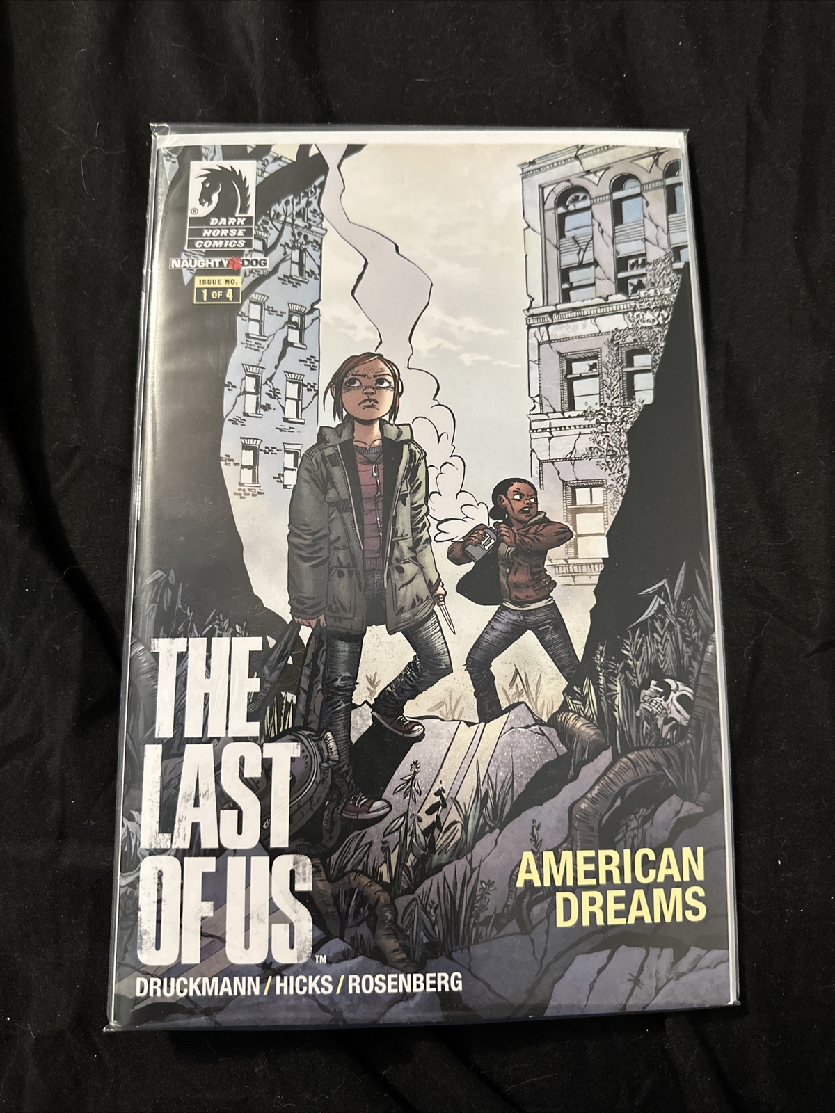 The Last of Us: American Dreams: Issue 1