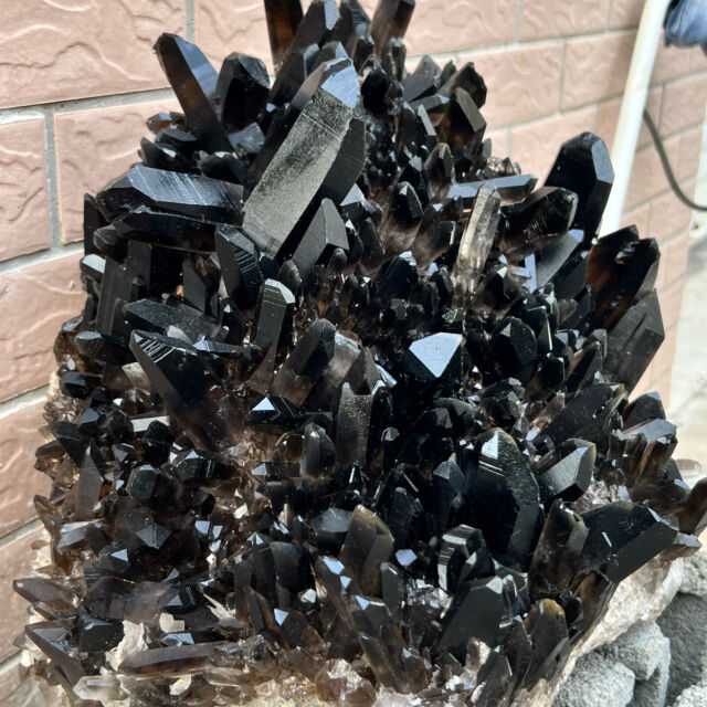 54.78LB Large Natural Smoky Black Quartz Cluster Crystal raw Specimen Healing NE10328 54.78LB Large Natural Smoky Black Quartz Cluster Crystal raw Specimen Healing NE10328