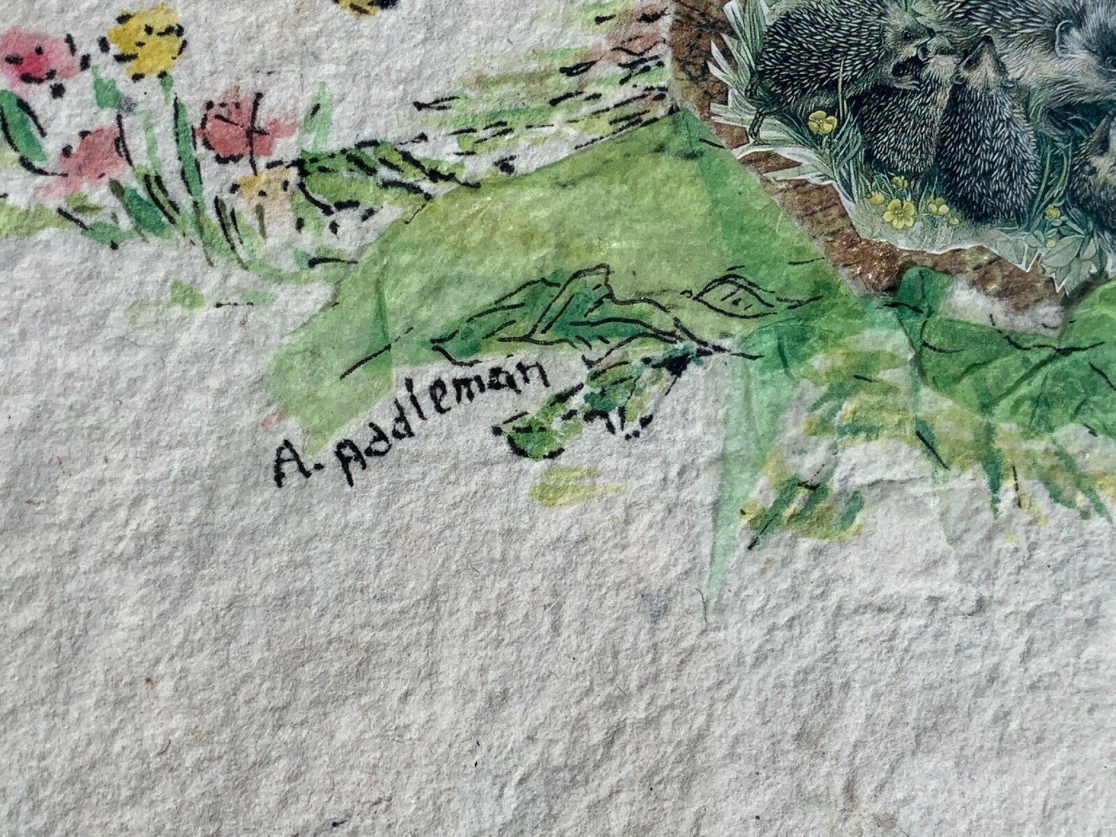 Picture 5 of 12