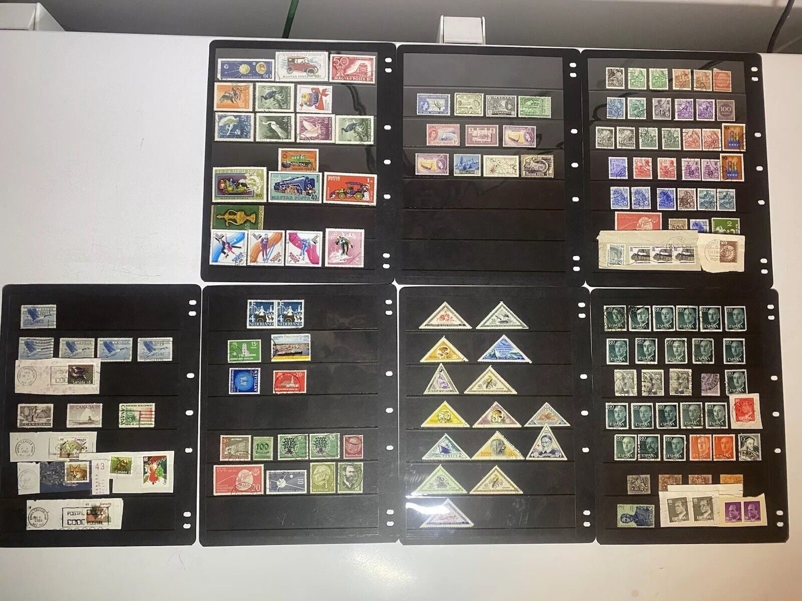 Picture 18 of 24