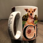 Foto 2 di 8