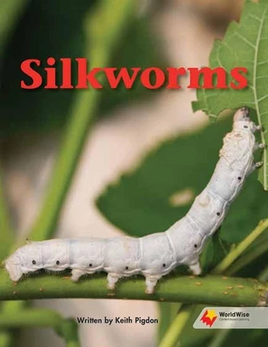 Silkworms by Lay (English) Paperback Book - Picture 1 of 1