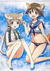Tapestry Yoshika Miyafuji & Rine B1 Tapestry "Strike Witches ROAD to BERLIN"
