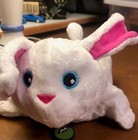 Picture 2 of 5