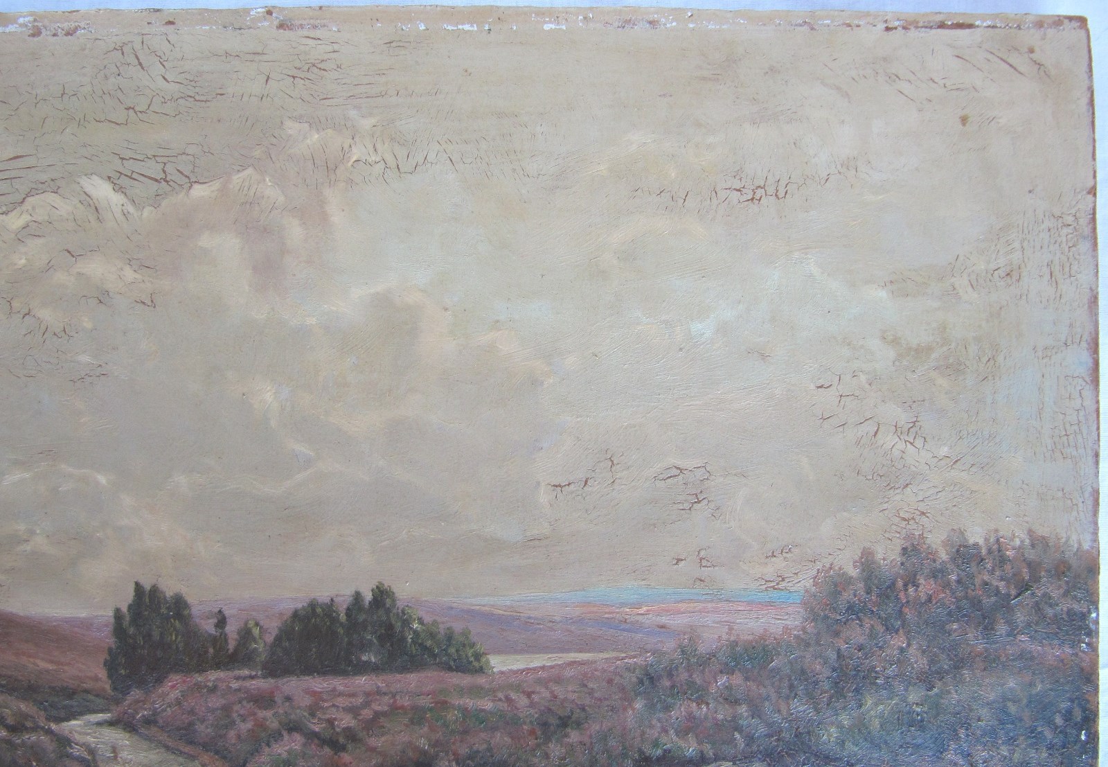 Picture 5 of 7