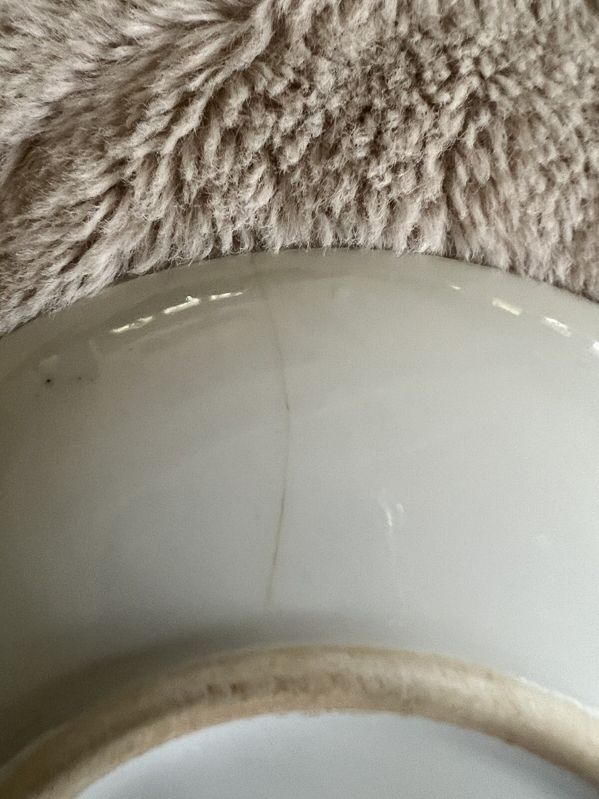 Picture 5 of 5
