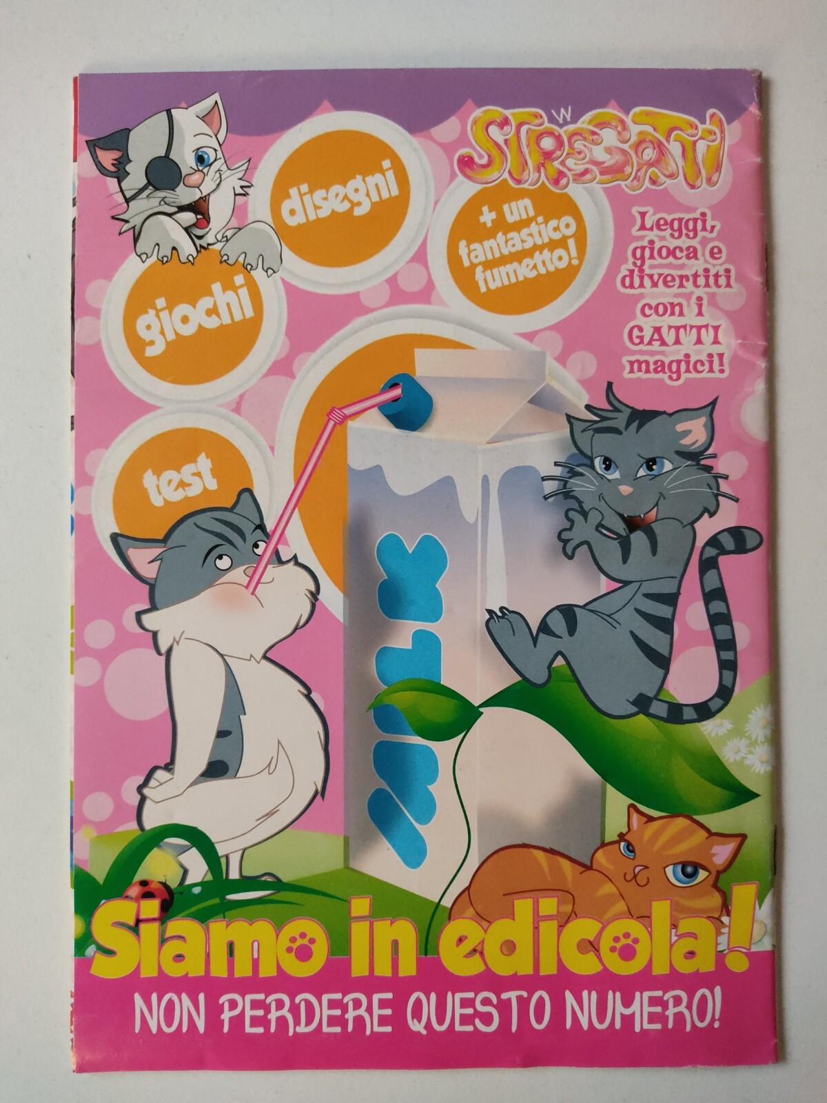Foto 2 di 4