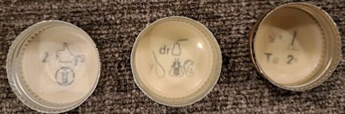 Mickey's Fine Malt Liquor Beer Bottle Caps Set of 50 - Puzzles On Back FUN - Picture 3 of 4