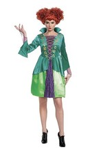 Halloween Hocus Pocus Wini/Winifred Sanderson Sisters Costume JR 7-9