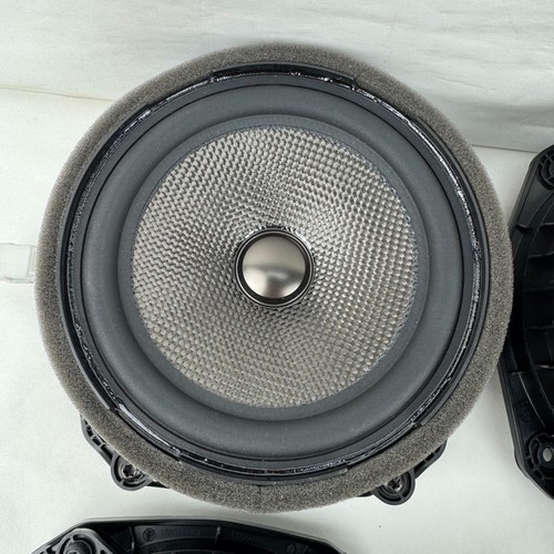 OEM 2023 2024 Fisker Ocean Front & Rear Factory Door Speaker Set FM2970300085 - Bild 3 von 8