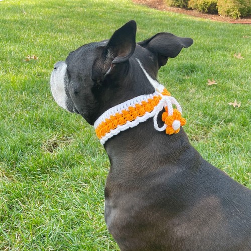 Orange Flower Decorative Crochet Dog Collar with Button Closure, Dog Necklace - Afbeelding 3 van 6