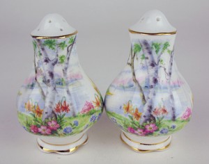 Salt-Pepper-Shaker-Set-Royal-Albert-Silver-Birch-vintage-England