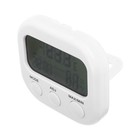 Fish Tank Thermometer Desktop Thermometer Multi-use Temperature Measuring Device