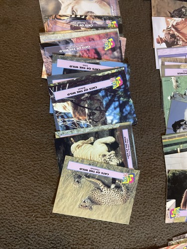 90’s Smithsonian Institute Club Pro Set 97 Cards Presidents reptile horse Native - Picture 8 of 18
