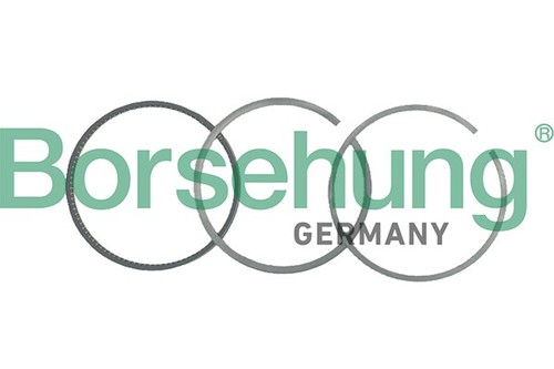 Borsehung B19051 Piston Ring Kit for AUDI,VW - 第 1/3 張圖片