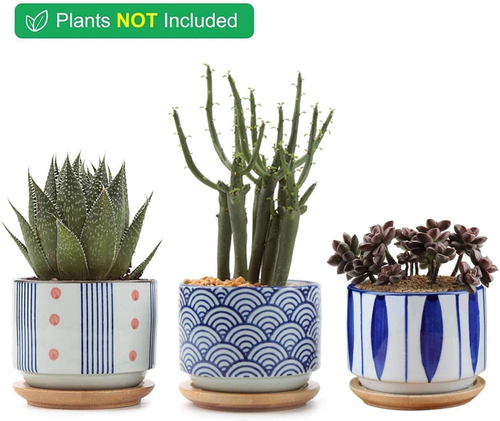 Succulent Planter Pots with Bamboo Tray Set of 3, 3 Inch Ceramic Pots Plants, J - Picture 3 of 6