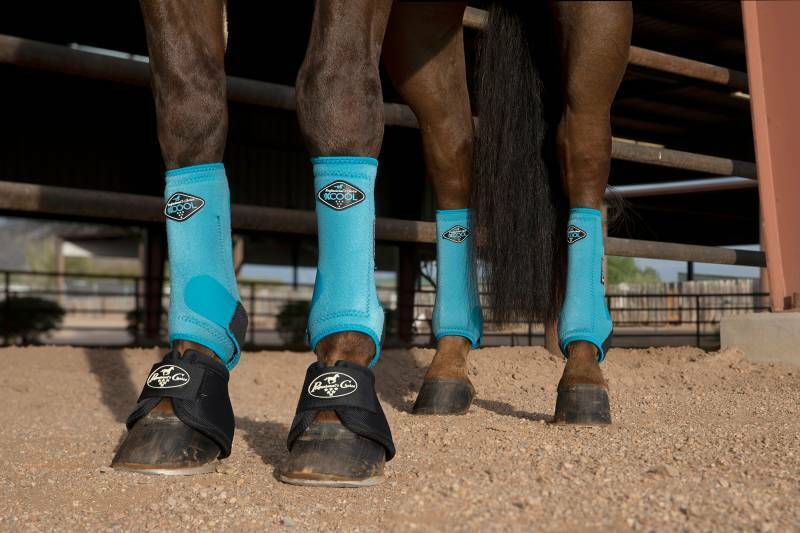 Professional choice horse boots on sale