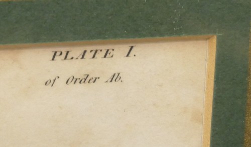 Zestaw 4 oryginalnych miedzianych rybek oprawionych z różnych encyklopedii - Zdjęcie 20 z 24