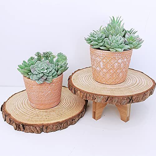11Pcs Artificial Succulents Plants Mini Fake Unpotted Succulents for Home Office - Picture 6 of 8