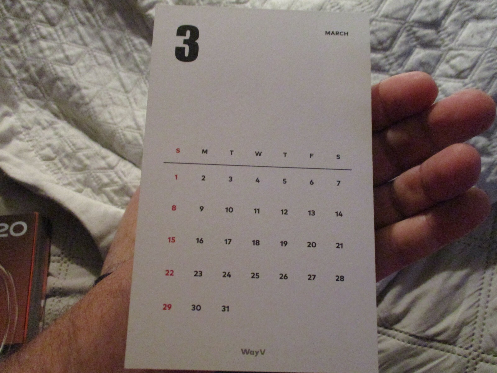 Picture 8 of 12