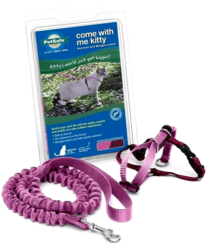 PetSafe COME WITH ME KITTY Cat Harness and Bungee Leash Dusty Rose/ Burgundy Med
