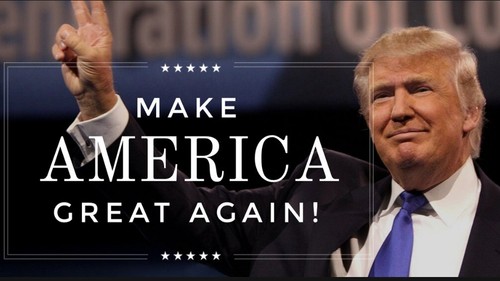 MAKE AMERICA GREAT AGAIN 2020 PRESIDENT ELECT TRUMP USA ONE HITTER BOX DUGOUT OG - Foto 23 di 24