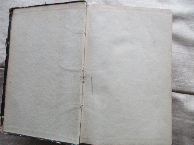 Picture 5 of 11