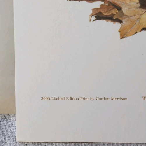Signed Gordon Morrison Print Trillium & Clintonia NE Wild Flower Society 2006 - Picture 5 of 9