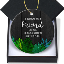 Friendship Christmas Ornaments 2025-Gift for Best Friend,The World Would Be a Be