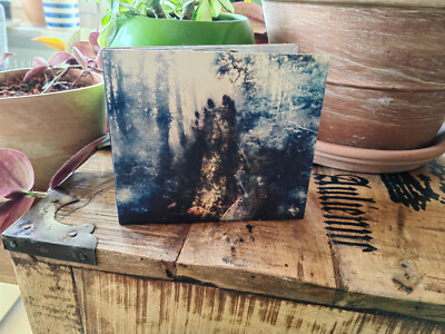 SYLVAINE - Wistful [DIGIPAK CD]
