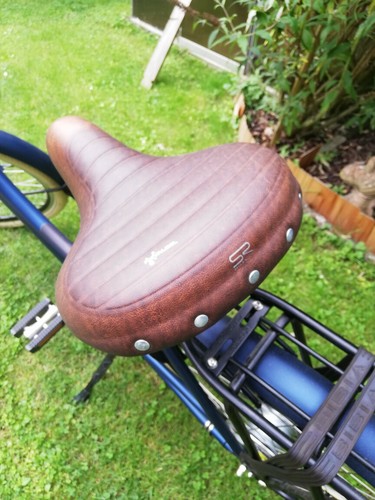 Hollandfahrrad Azor Ameland AZ1705847 - Bild 11 von 12