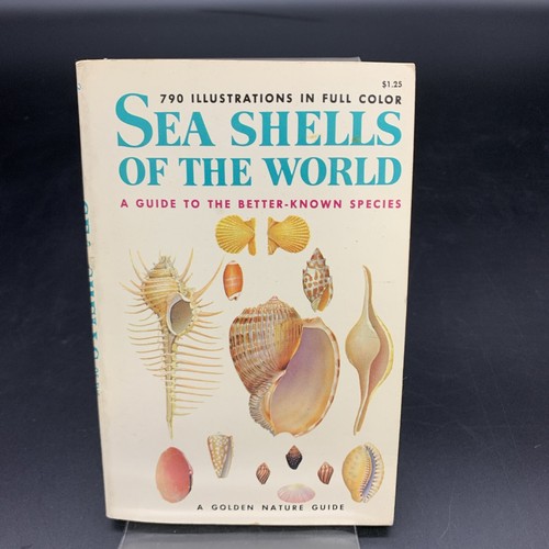 Vintage Sea Shell Collection w/ ID Chart & Book + Loose Shells & Sand Dollars - Picture 10 of 20
