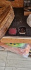Foto 2 di 8