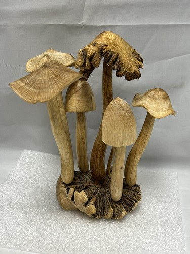 Wood Mushroom Collection Hand-Carved - Picture 4 of 24